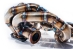 Boost Junkyz Turbo Manifold for Mazdaspeed 3 / 6 - MS-SR