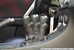 JBR Double Adjustable Short Shifter for Gen2 Mazdaspeed 3 - MS3SS-1013-S1